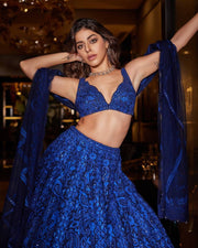 Butterfly Net Lehenga Set – Elegant & Graceful