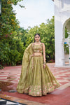 Golden Aura Premium Lehenga Choli Set