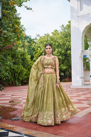 Golden Aura Premium Lehenga Choli Set
